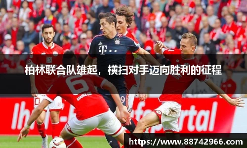 bsports登录入口