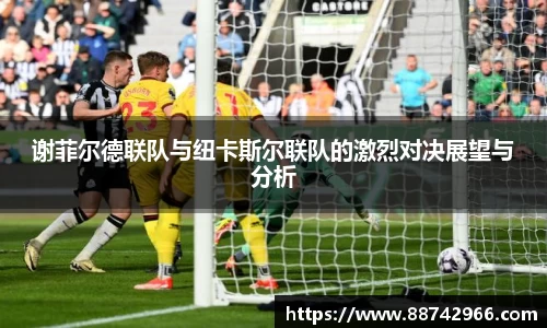 bsports官网登录入口
