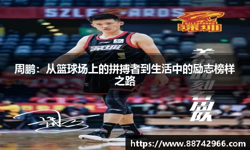 bsports官网登录入口