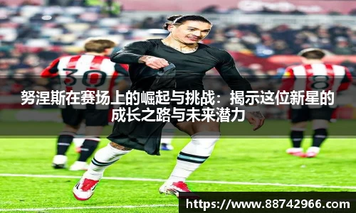 bsports官网入口