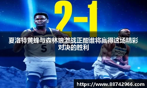 bsports官网入口